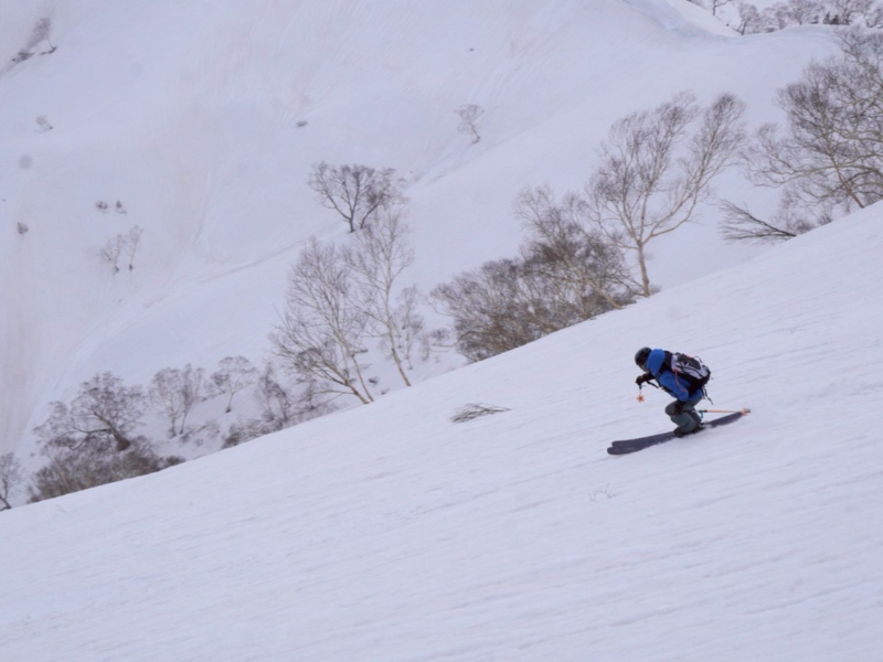 サクラ谷へお散歩