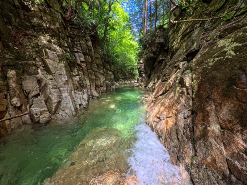 ゴルジュを水に浸かりながらゆく。水流は穏やか。