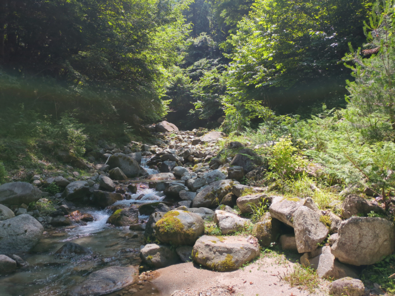 堰堤の上はひたすら河原。