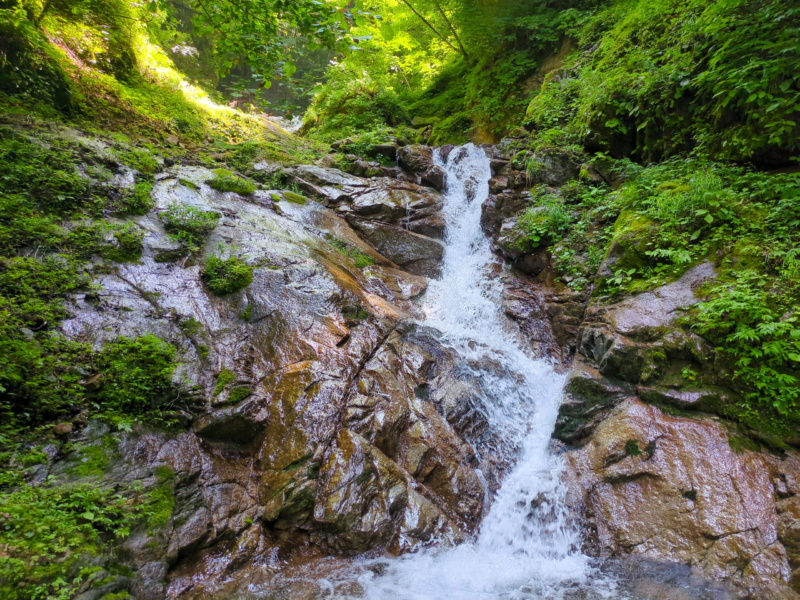 たまに滝があるが9割は河原。