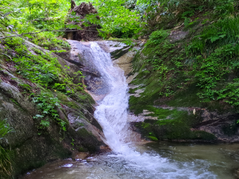 ヨセ沢。割沢と比べるとややヤブっぽく暗め。